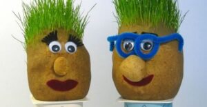 Scopri di più sull'articolo Al sig. Patata crescono i capelli! <br/> <h6 style="color:#fff;">Laboratorio di creazione di teste d’erba </h6>
